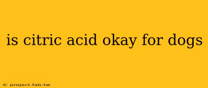 is citric acid okay for dogs