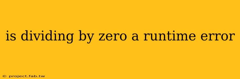 is dividing by zero a runtime error