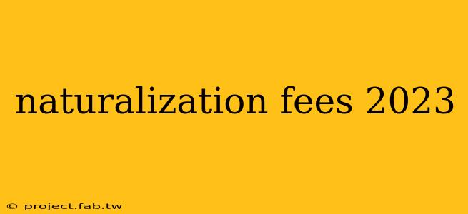 naturalization fees 2023