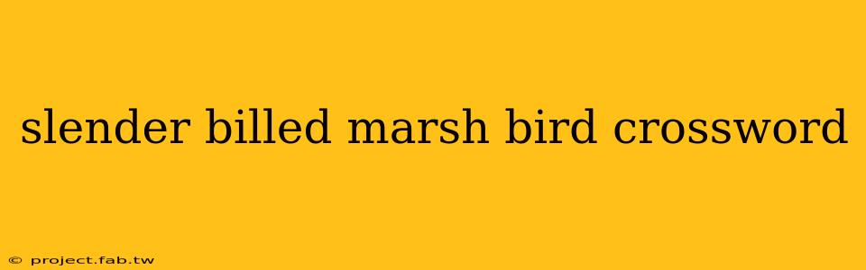 slender billed marsh bird crossword