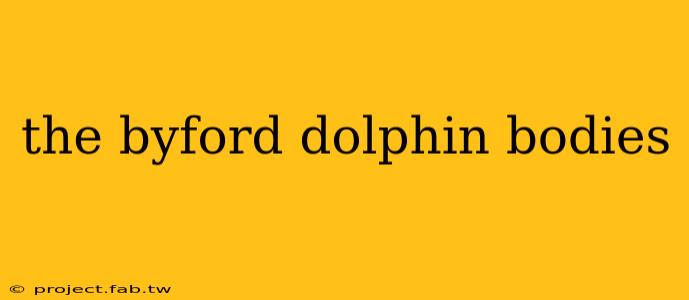 the byford dolphin bodies