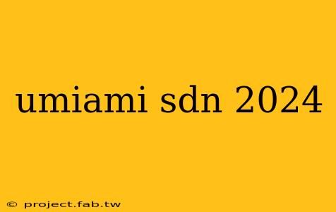 umiami sdn 2024