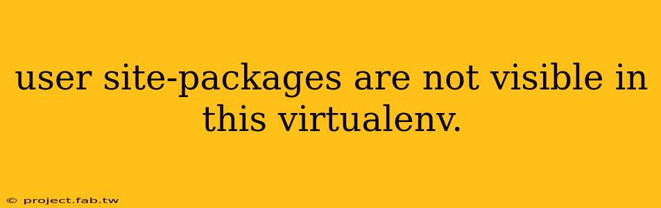 user site-packages are not visible in this virtualenv.