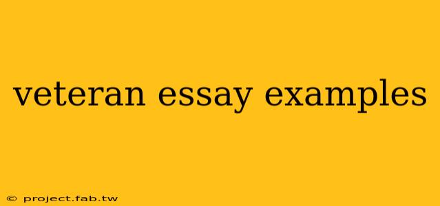 veteran essay examples