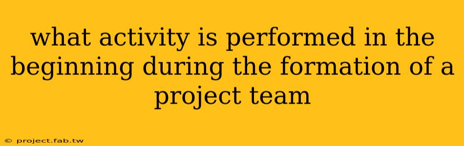 what activity is performed in the beginning during the formation of a project team