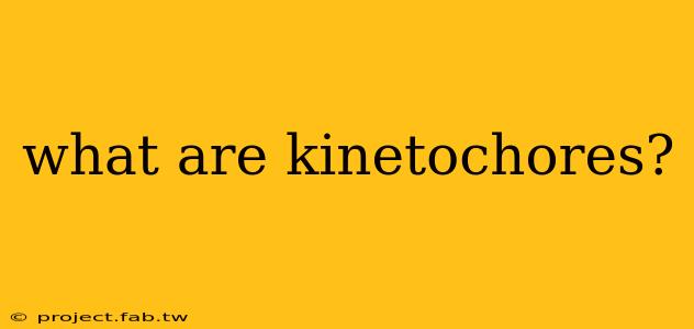 what are kinetochores?