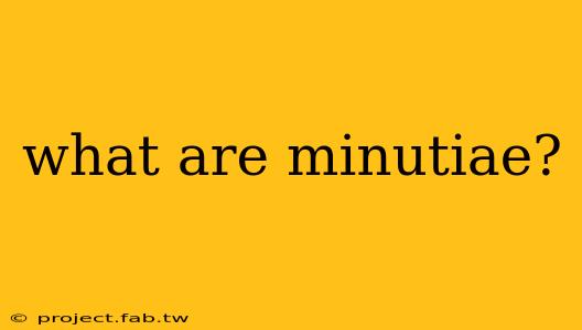 what are minutiae?