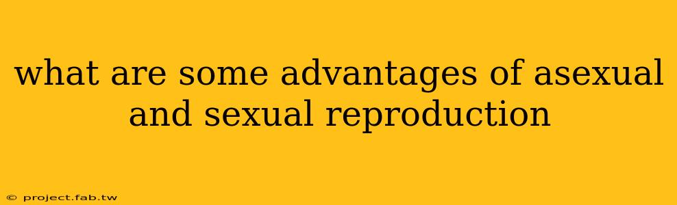 what are some advantages of asexual and sexual reproduction