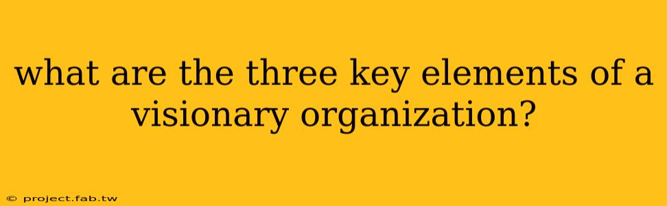 what are the three key elements of a visionary organization?