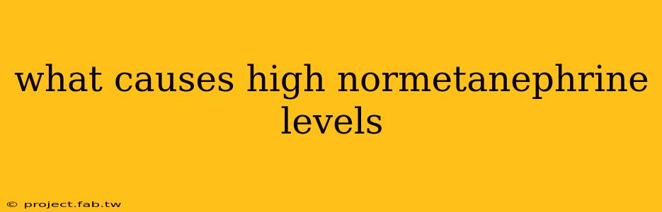 what causes high normetanephrine levels