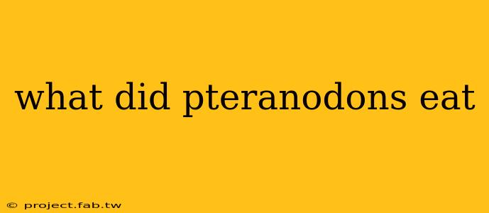 what did pteranodons eat