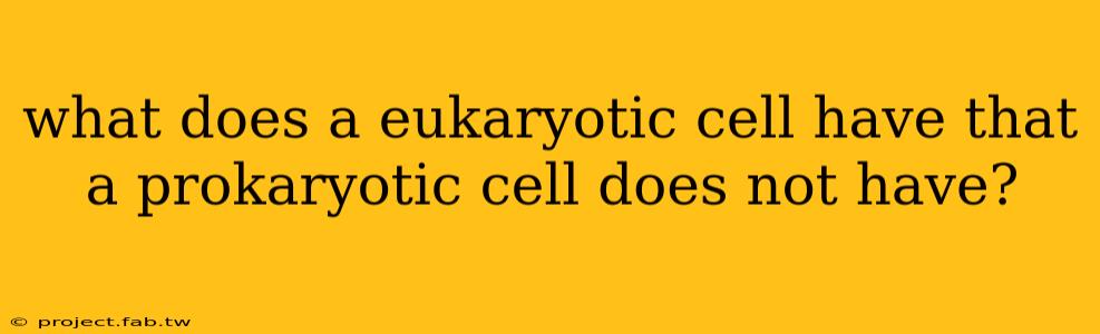 what does a eukaryotic cell have that a prokaryotic cell does not have?