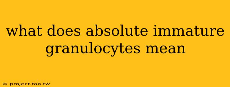 what does absolute immature granulocytes mean