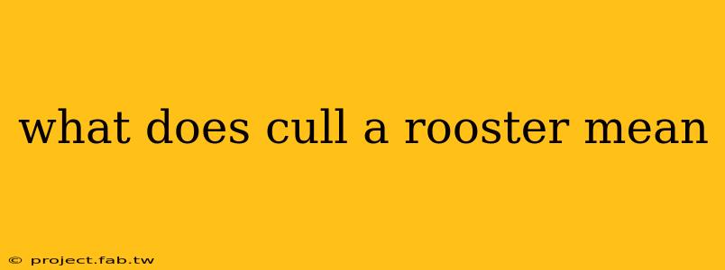 what does cull a rooster mean