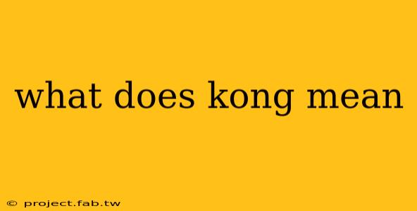 what does kong mean