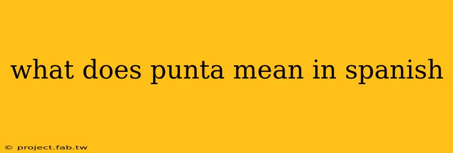 what does punta mean in spanish