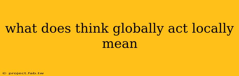 what does think globally act locally mean