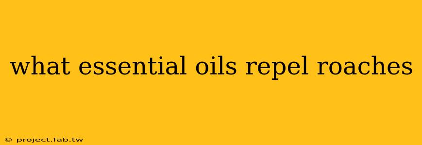 what essential oils repel roaches