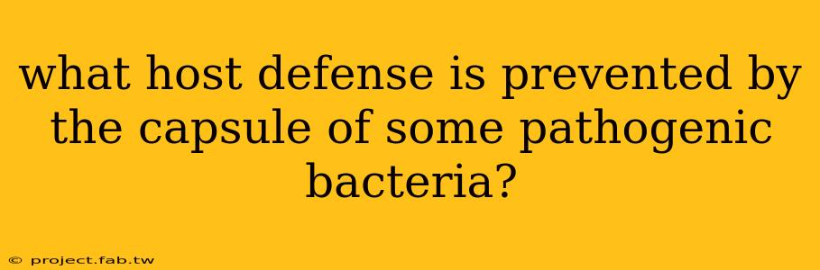 what host defense is prevented by the capsule of some pathogenic bacteria?