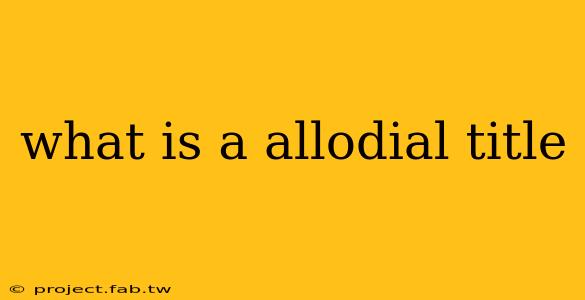 what is a allodial title