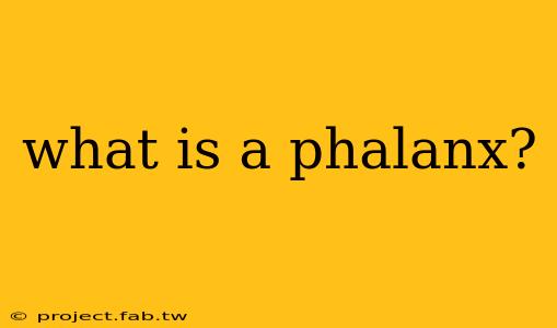 what is a phalanx?