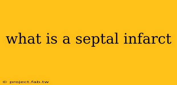 what is a septal infarct