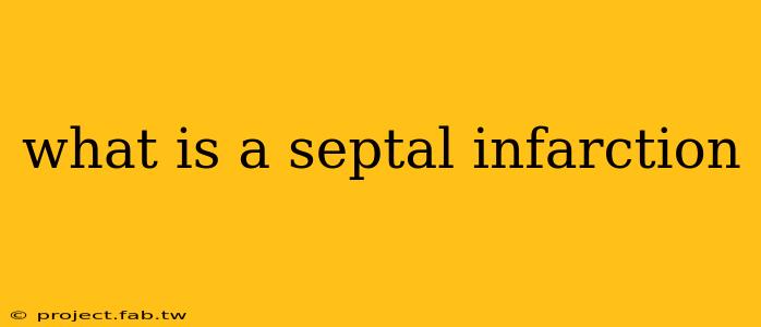 what is a septal infarction