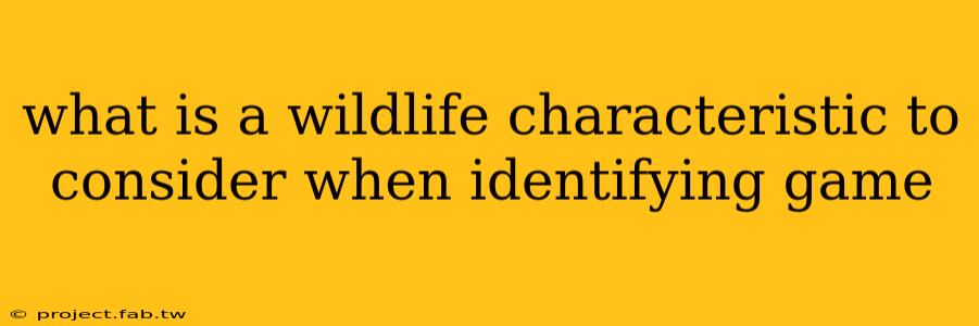 what is a wildlife characteristic to consider when identifying game