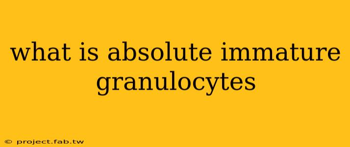 what is absolute immature granulocytes