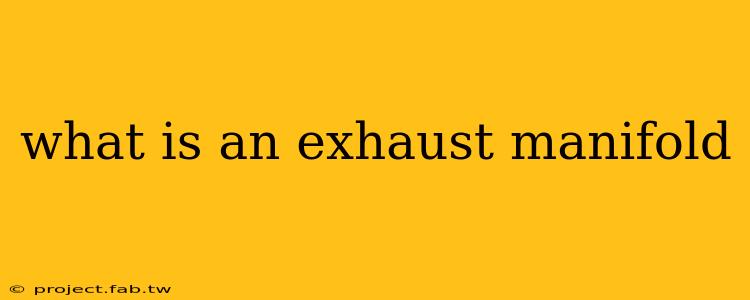 what is an exhaust manifold