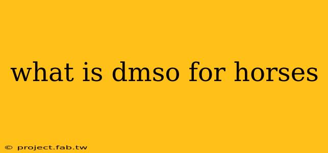 what is dmso for horses