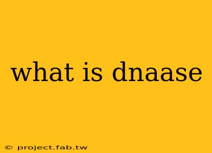 what is dnaase