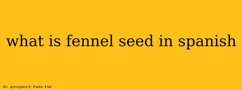 what is fennel seed in spanish