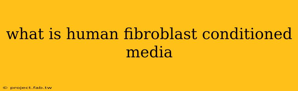 what is human fibroblast conditioned media