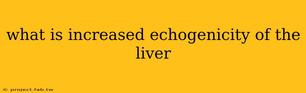 what is increased echogenicity of the liver