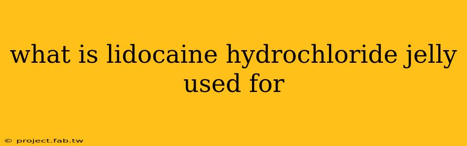 what is lidocaine hydrochloride jelly used for