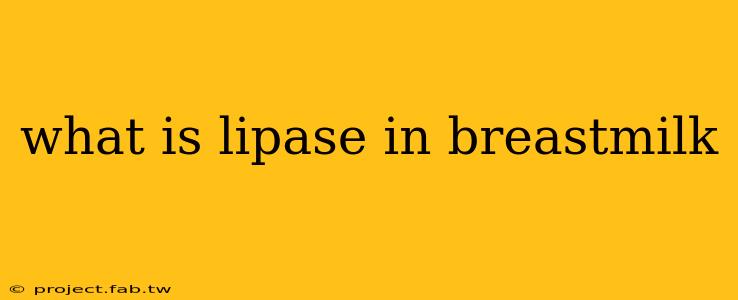 what is lipase in breastmilk