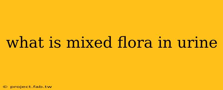 what is mixed flora in urine