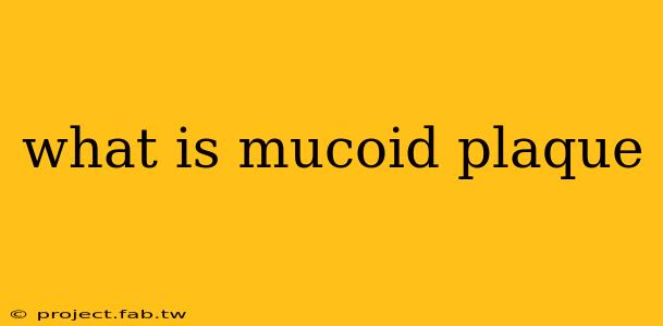 what is mucoid plaque