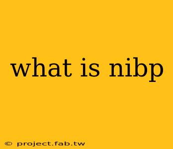 what is nibp