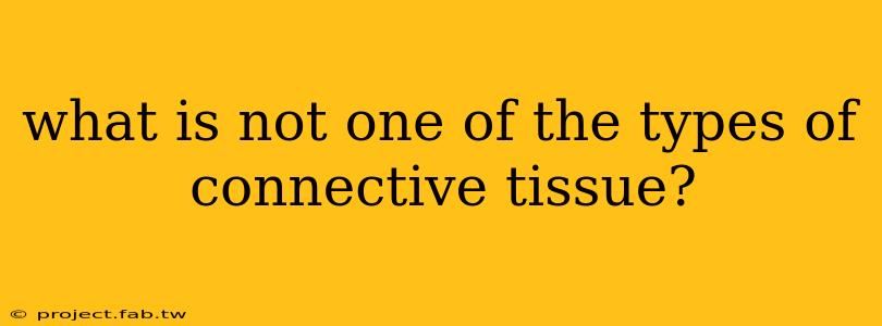 what is not one of the types of connective tissue?