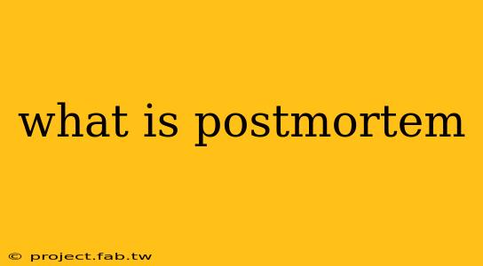 what is postmortem