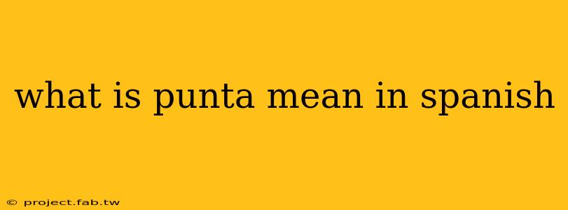 what is punta mean in spanish