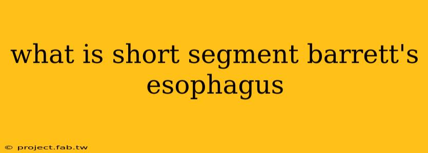 what is short segment barrett's esophagus