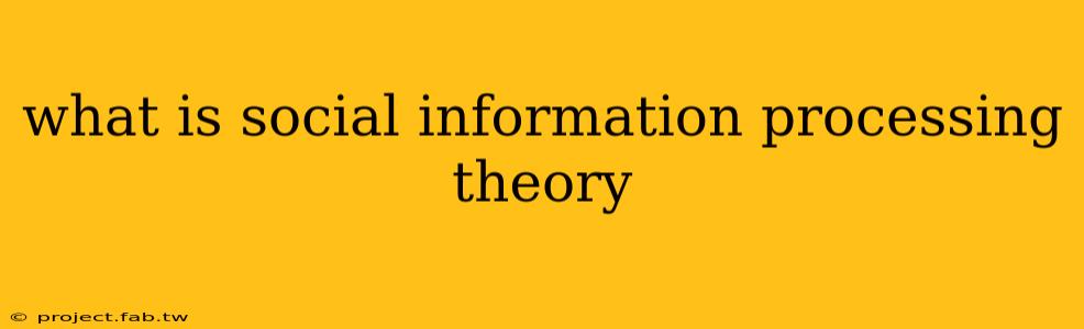 what is social information processing theory