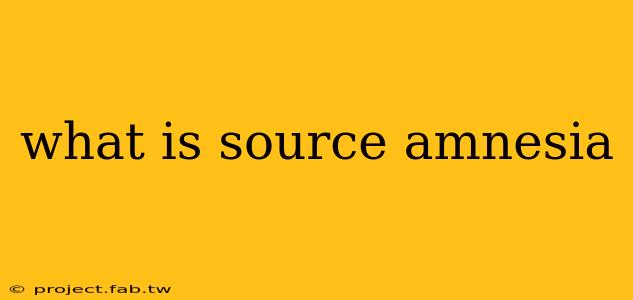 what is source amnesia