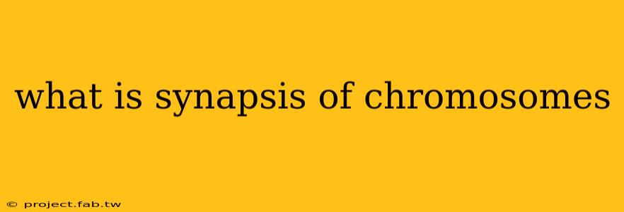 what is synapsis of chromosomes