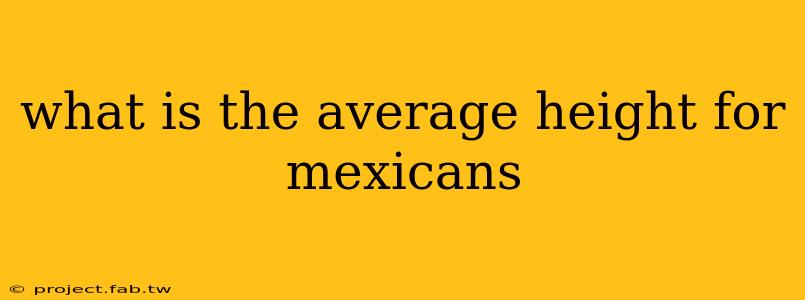 what is the average height for mexicans