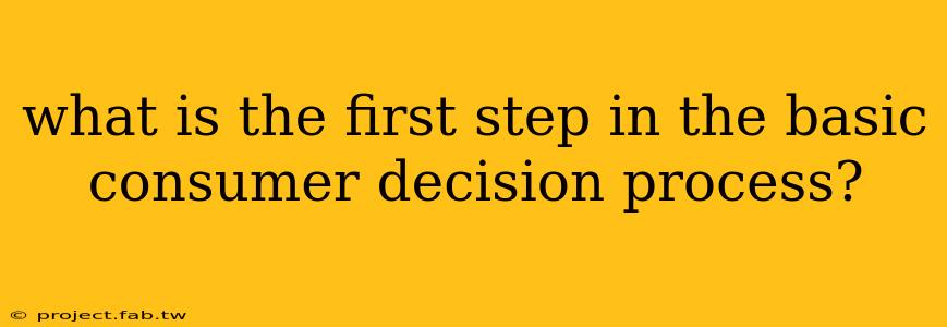 what is the first step in the basic consumer decision process?