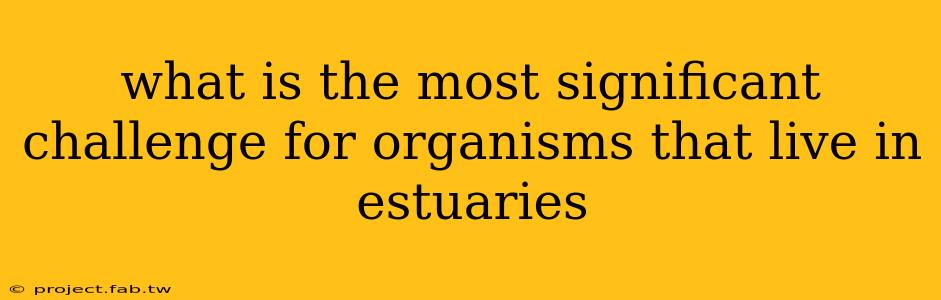 what is the most significant challenge for organisms that live in estuaries